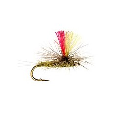 Indicator Parachute Bwo