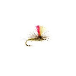 Indicator Parachute Bwo