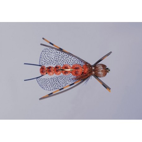 J S Salmonfly in the Zone Stone