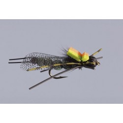 J S Skwalla in the Zone Stone