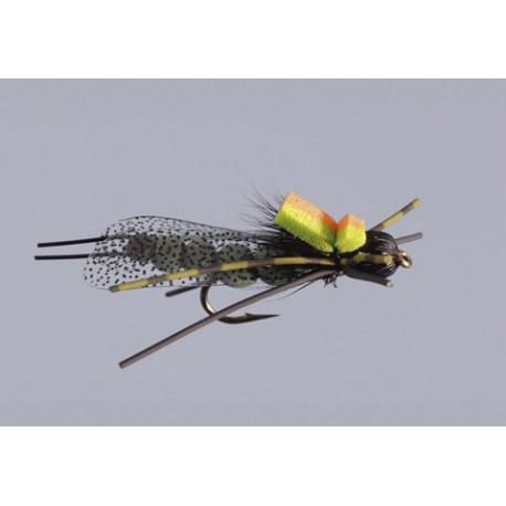 J S Skwalla in the Zone Stone