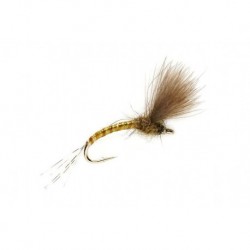 Kj Olive Emerger