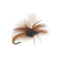 Klinkhammer Light Brown