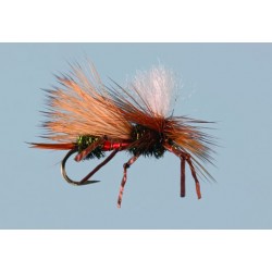 Knotted Flexi Pmx Royal