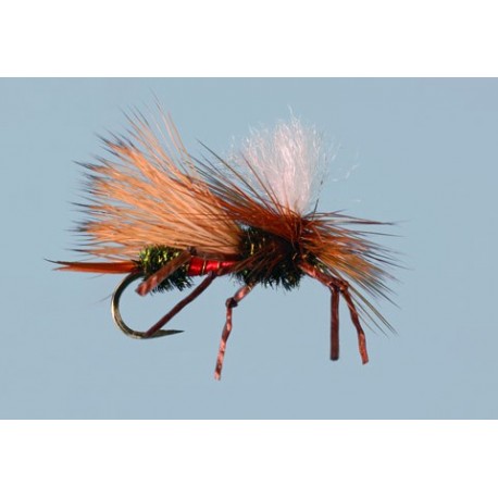 Knotted Flexi Pmx Royal