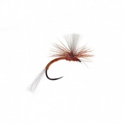 Lexi's Para Emerger Rusty Barbless