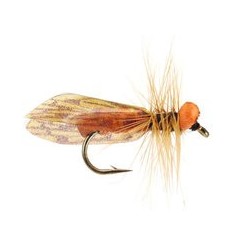 Light Caddis