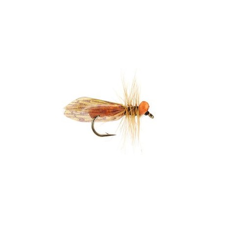 Light Caddis