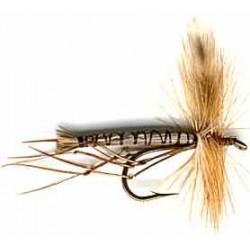 Longlegs Light Brown (Detached)