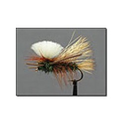 Madam X Parachute Peacock