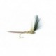 Mayfly (Baz's)