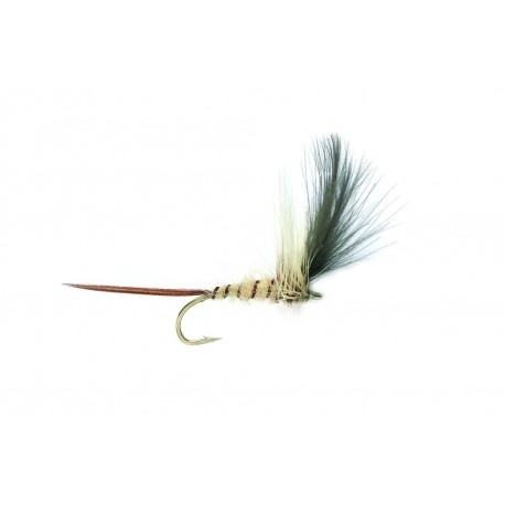 Mayfly (Baz's)