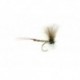 Mayfly CDC