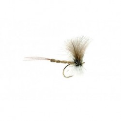 Mayfly CDC