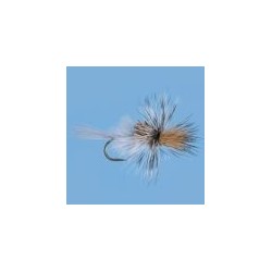 Mayfly Cripple Callibaetis