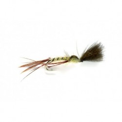 Mayfly Crippled
