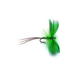 Mayfly Green Drake