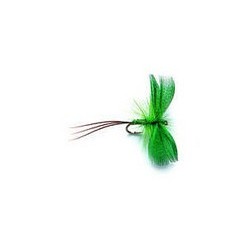 Mayfly Green Drake