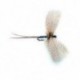 Mayfly Grey Drake