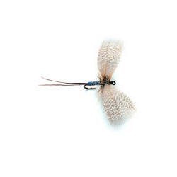 Mayfly Grey Drake