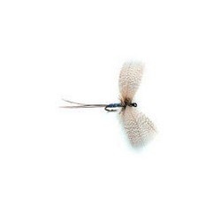 Mayfly Grey Drake