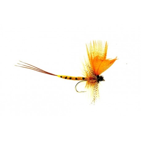 Mayfly Thomas Yellow