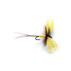 Mayfly Yellow Drake