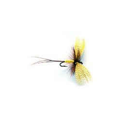 Mayfly Yellow Drake