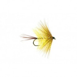 Mayfly Yellow