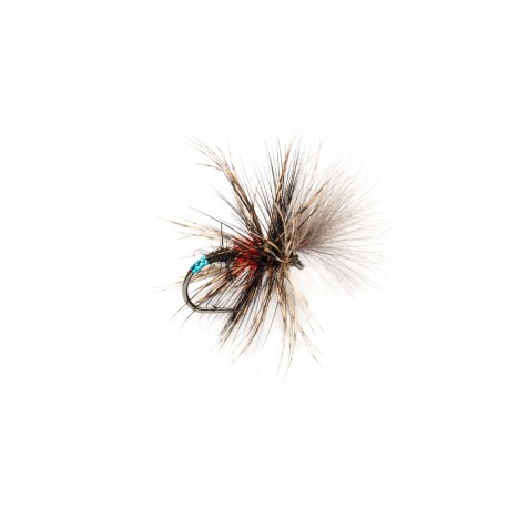 Mcphail Grunter Bibio
