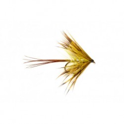 Mcphail Olive French Partridge