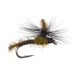 Microchenille Parachute Olive