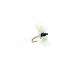 Midge Caenis Polywing