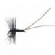 Midge Pupa Black