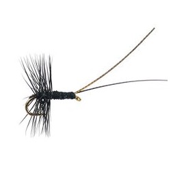 Midge Pupa Black