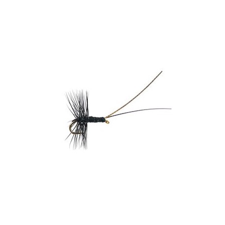 Midge Pupa Black