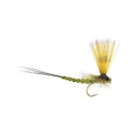 Mohican Mayfly Olive