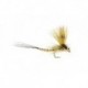 Mohican Mayfly
