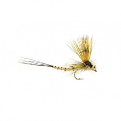Mohican Mayfly