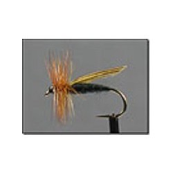 Mottled Caddis Black