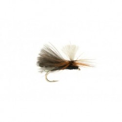 Nbk Caddis Dry Black