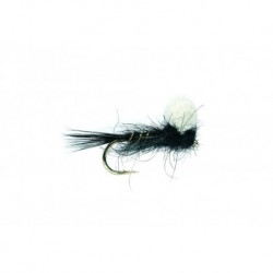 Nymph Black