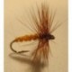 October Caddis