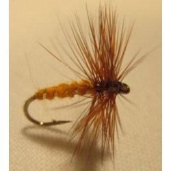 October Caddis