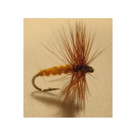 October Caddis