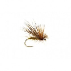 Olive Drop Sedge