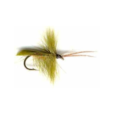 Olive Horned Caddis