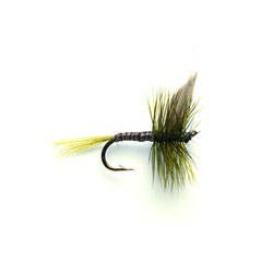 Olive Quill