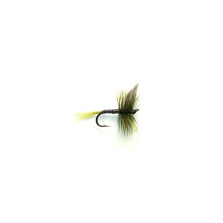Olive Quill