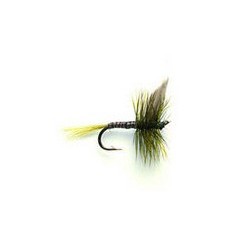 Olive Quill